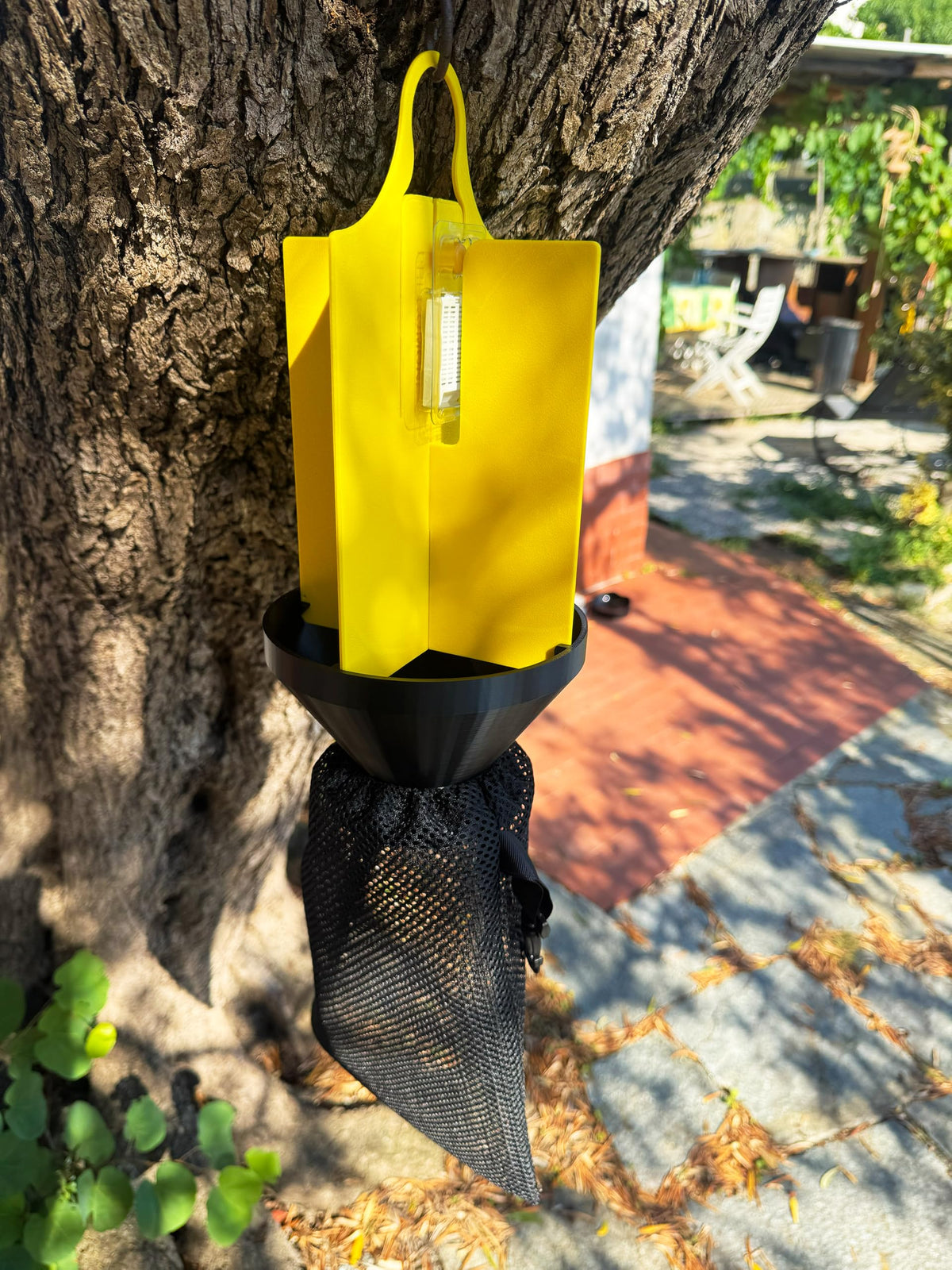 Trappola per Popillia Japonica con Feromone, Kit per Scarabeo Giapponese