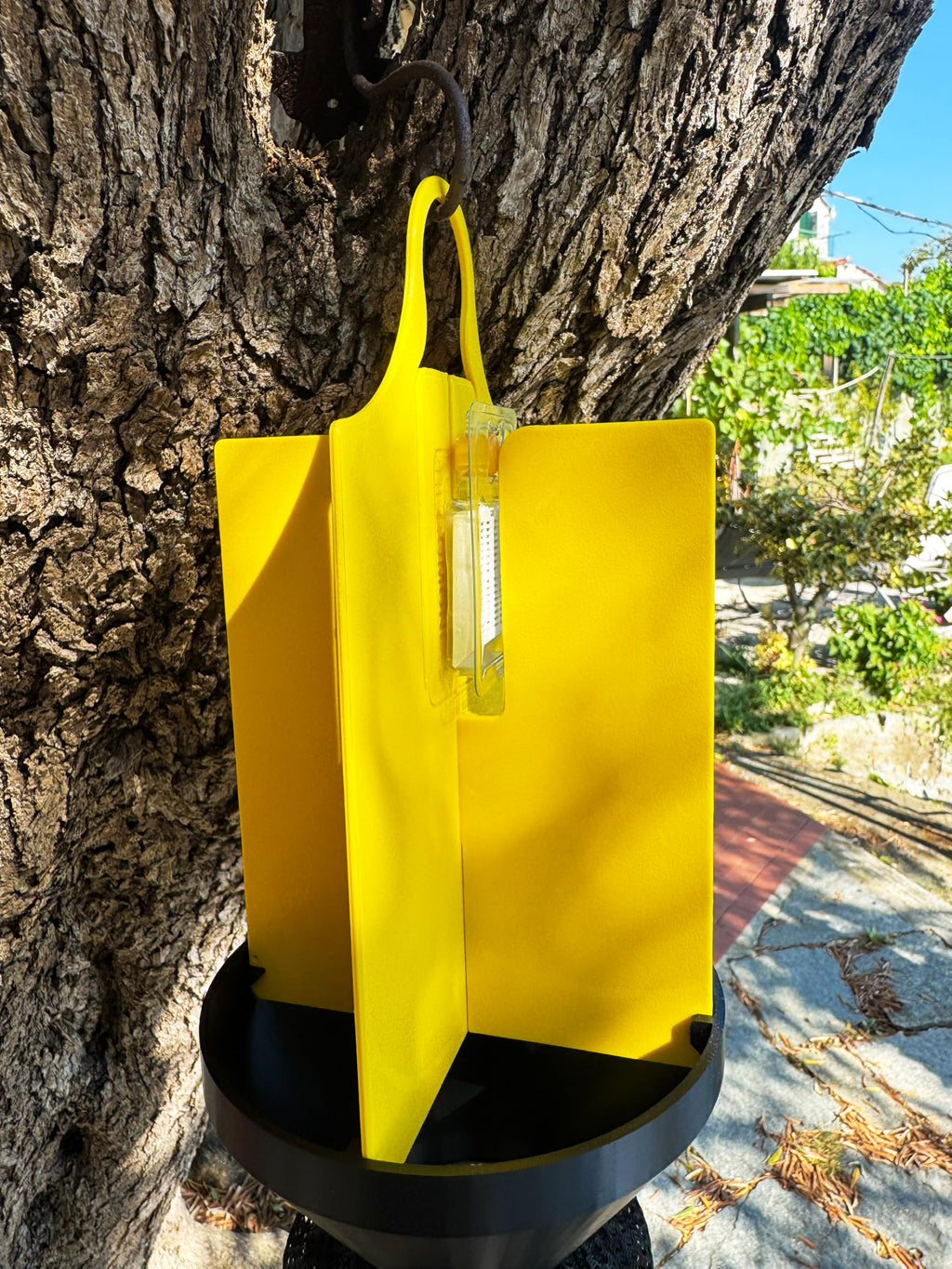 Trappola per Popillia Japonica con Feromone, Kit per Scarabeo Giapponese